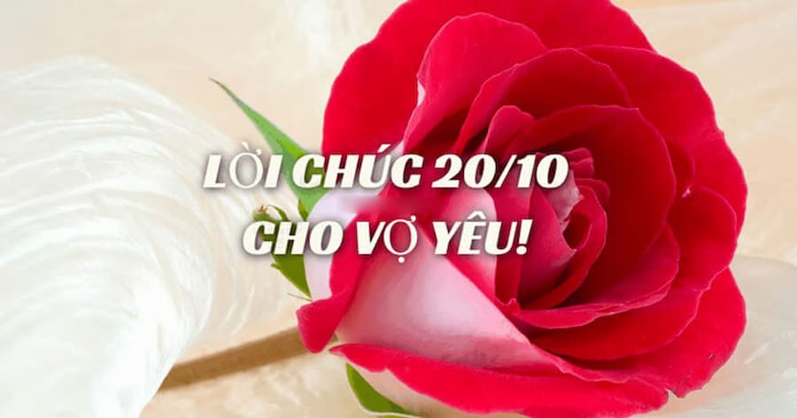 Những lời chúc 20/10 hay nhất dành tặng vợ yêu