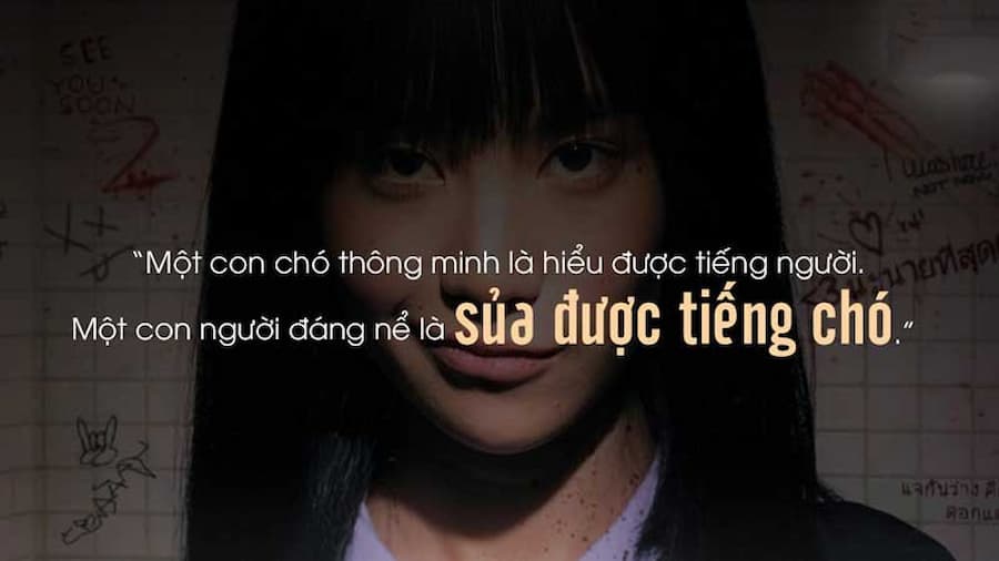 Những câu chửi khéo hay nhất, càng nghe càng thấm